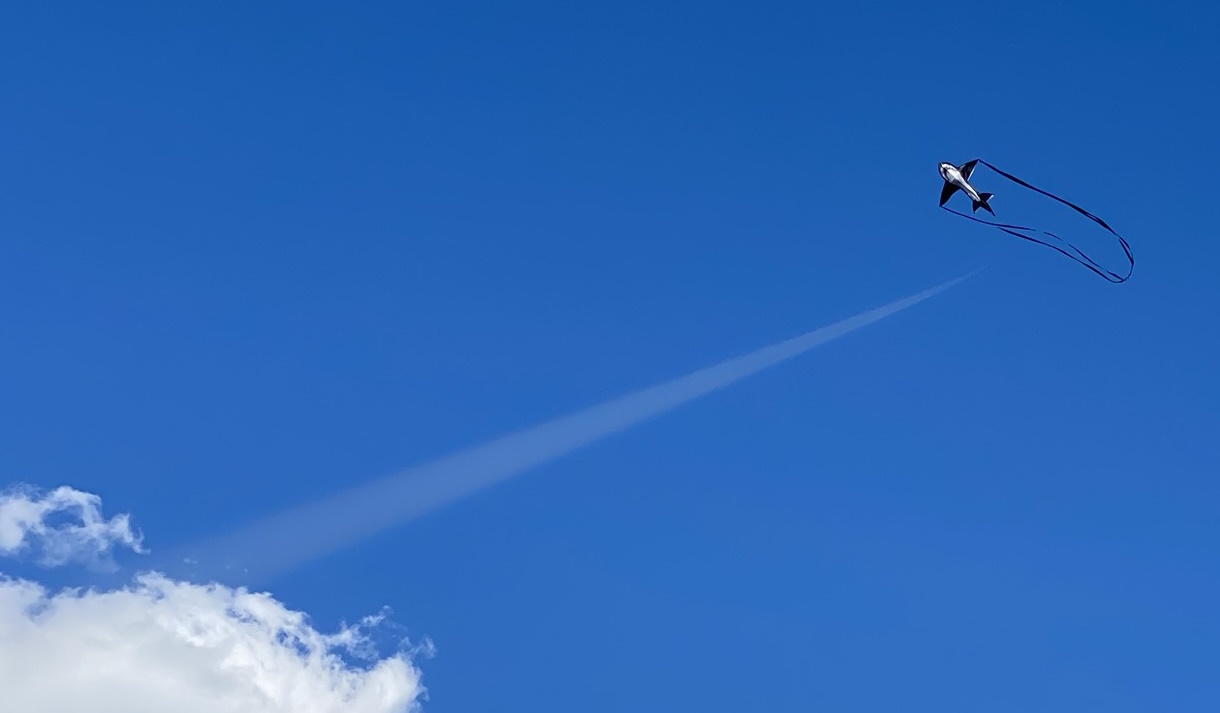 A kite in the sky with the string coming down